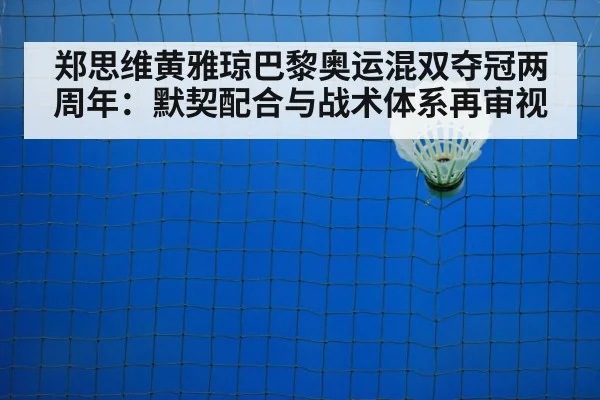 badminton net play